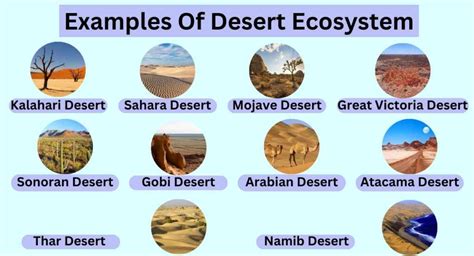 what are desert fake things called